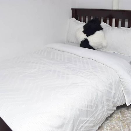Lost & Found Zanzibár Kültér fotó